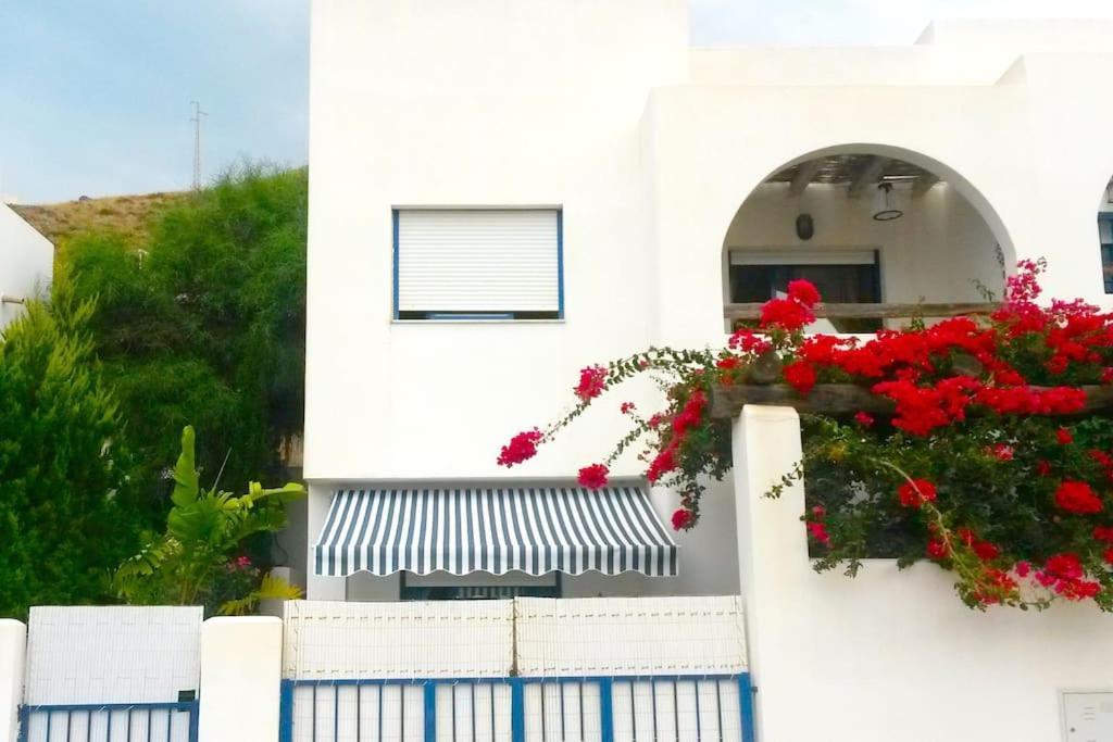 Agua 41 Villa ซานโฮเซ ภายนอก รูปภาพ